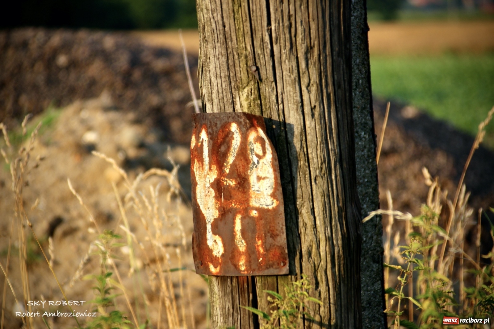 Zdjęcie w galerii na portalu naszraciborz.pl: Z Raciborza do Opawy. Magiczne zdjęcia lotnicze starej linii kolejowej wiadomości z regionu
