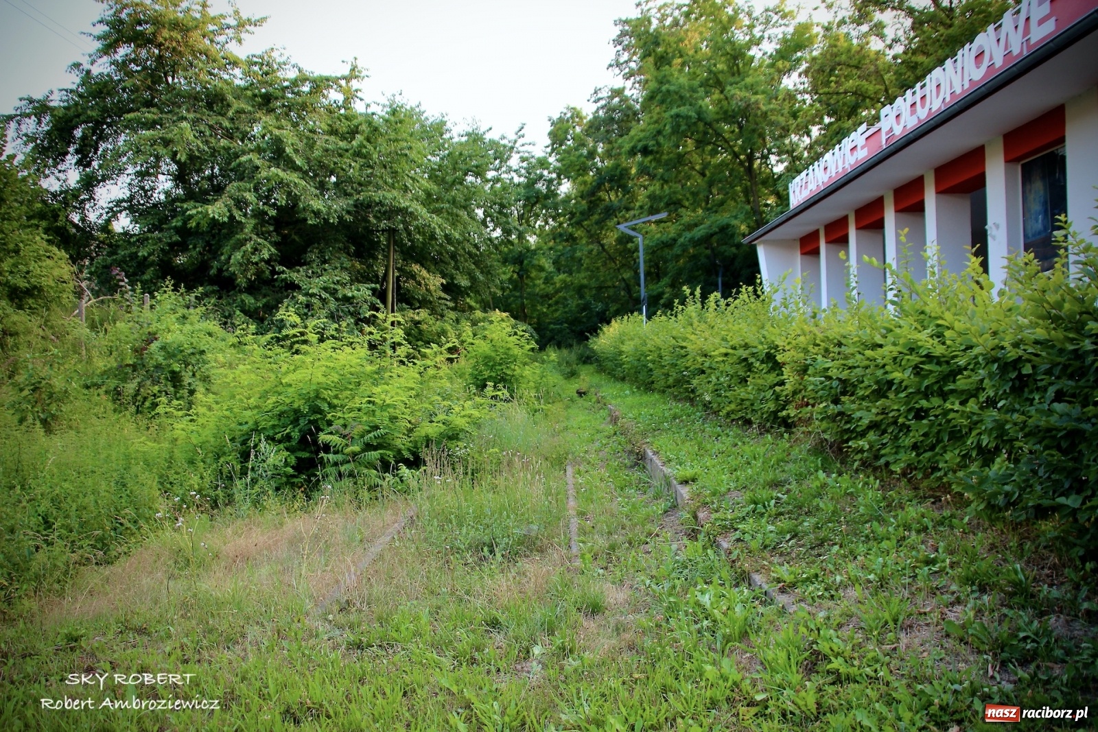 Zdjęcie w galerii na portalu naszraciborz.pl: Z Raciborza do Opawy. Magiczne zdjęcia lotnicze starej linii kolejowej wiadomości z regionu