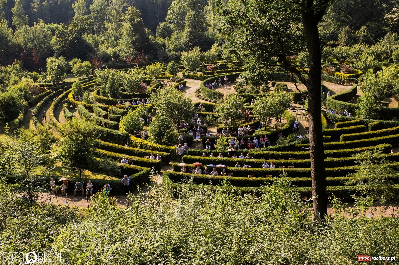 Zdjęcie w galerii na portalu naszraciborz.pl: Koncert Wiedeński w Zaczarowanym Ogrodzie wiadomości z regionu