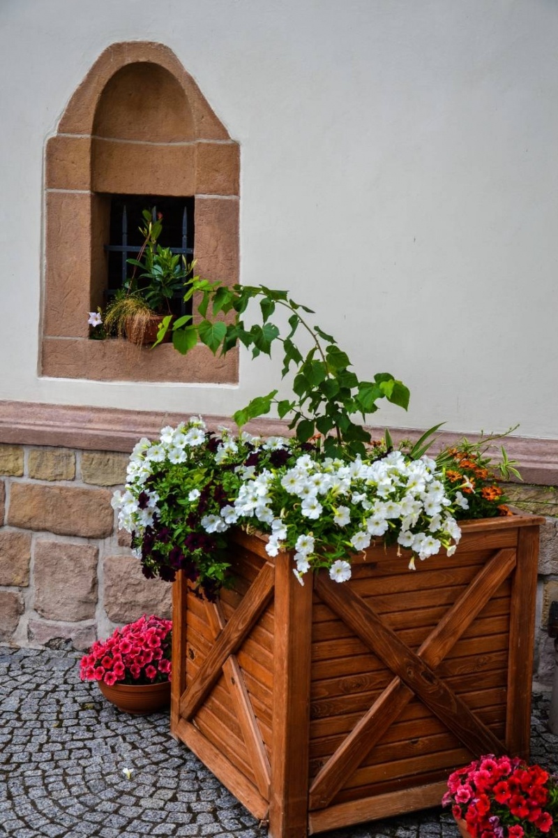 Zdjęcie w galerii na portalu naszraciborz.pl: Jak wam się podoba ślubny wystrój kaplicy zamkowej w Raciborzu? [FOTO] wiadomości z regionu