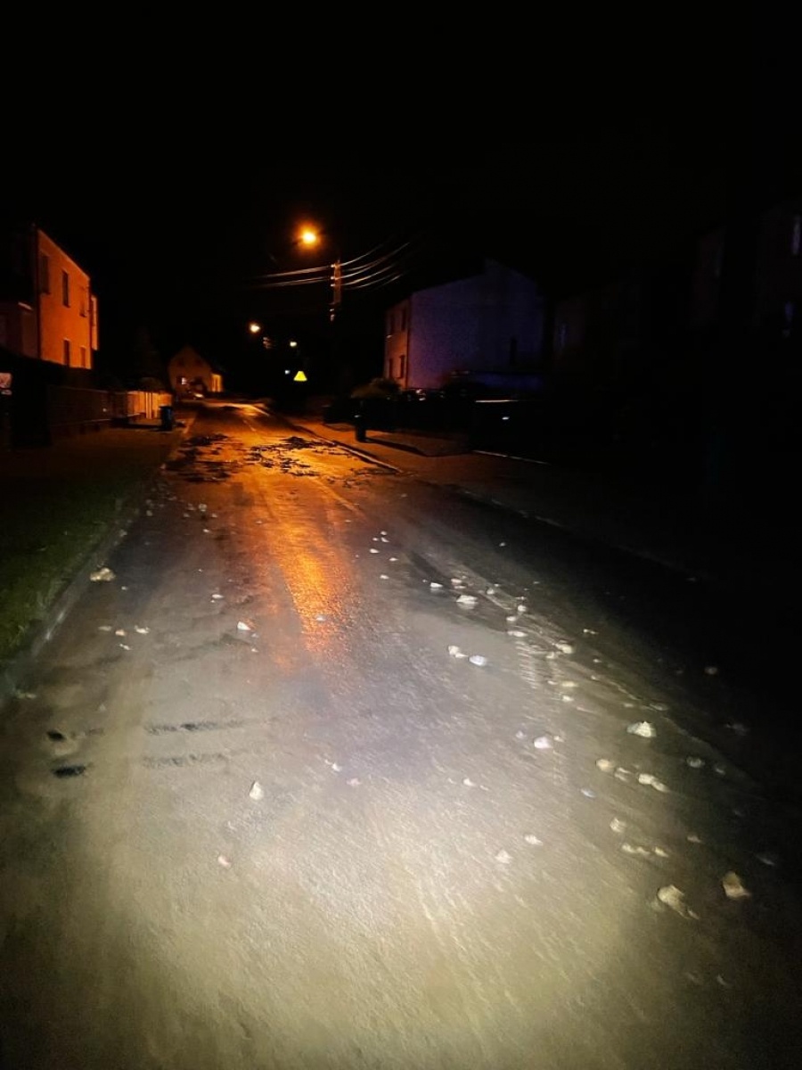 Zdjęcie w galerii na portalu naszraciborz.pl: Ulewa spowodowała podtopienia w gm. Krzyżanowice oraz Krzanowice [WIDEO] wiadomości z regionu