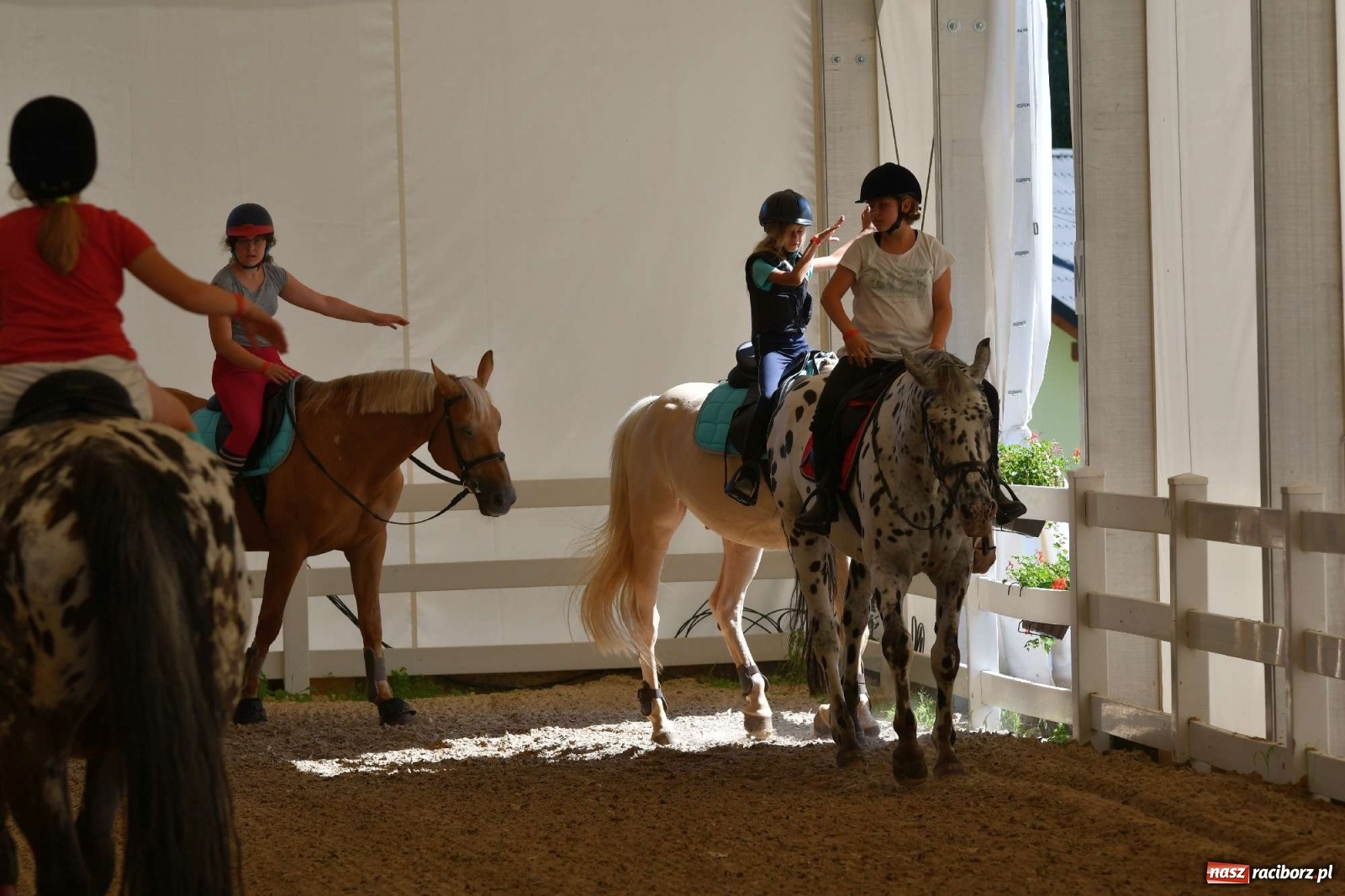 Zdjęcie w galerii na portalu naszraciborz.pl: Wakacje w siodle hitem AquaBraxu [FOTO i WIDEO] wiadomości z regionu