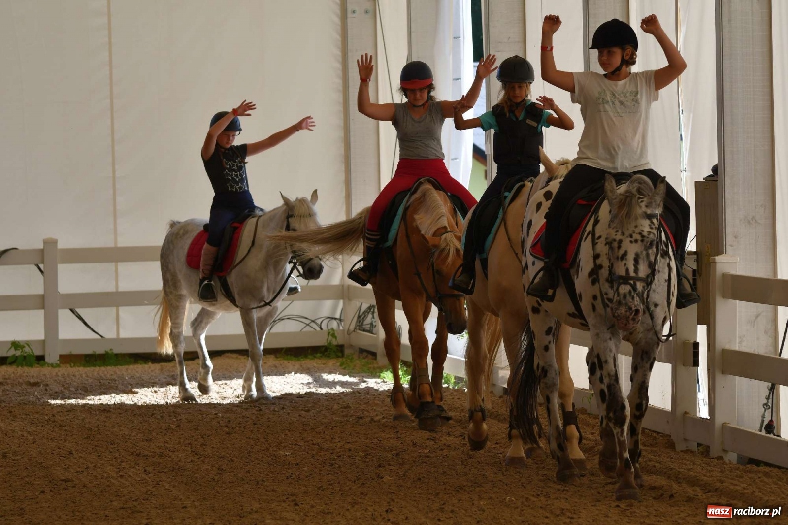 Zdjęcie w galerii na portalu naszraciborz.pl: Wakacje w siodle hitem AquaBraxu [FOTO i WIDEO] wiadomości z regionu