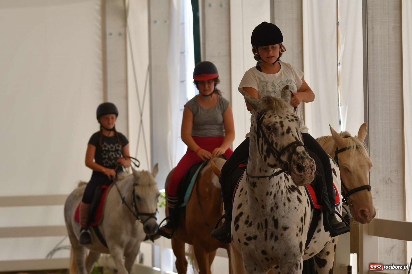 Zdjęcie w galerii na portalu naszraciborz.pl: Wakacje w siodle hitem AquaBraxu [FOTO i WIDEO] wiadomości z regionu