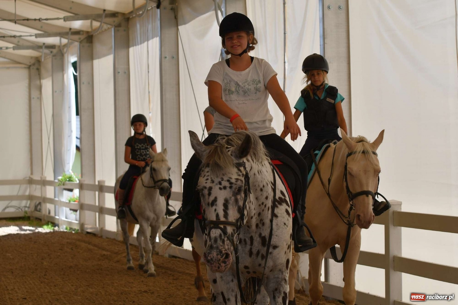 Zdjęcie w galerii na portalu naszraciborz.pl: Wakacje w siodle hitem AquaBraxu [FOTO i WIDEO] wiadomości z regionu