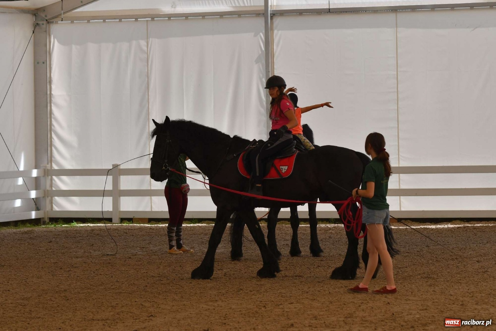 Zdjęcie w galerii na portalu naszraciborz.pl: Wakacje w siodle hitem AquaBraxu [FOTO i WIDEO] wiadomości z regionu
