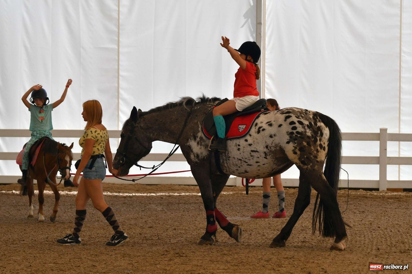 Zdjęcie w galerii na portalu naszraciborz.pl: Wakacje w siodle hitem AquaBraxu [FOTO i WIDEO] wiadomości z regionu