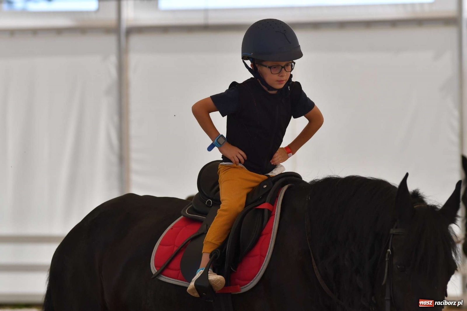 Zdjęcie w galerii na portalu naszraciborz.pl: Wakacje w siodle hitem AquaBraxu [FOTO i WIDEO] wiadomości z regionu