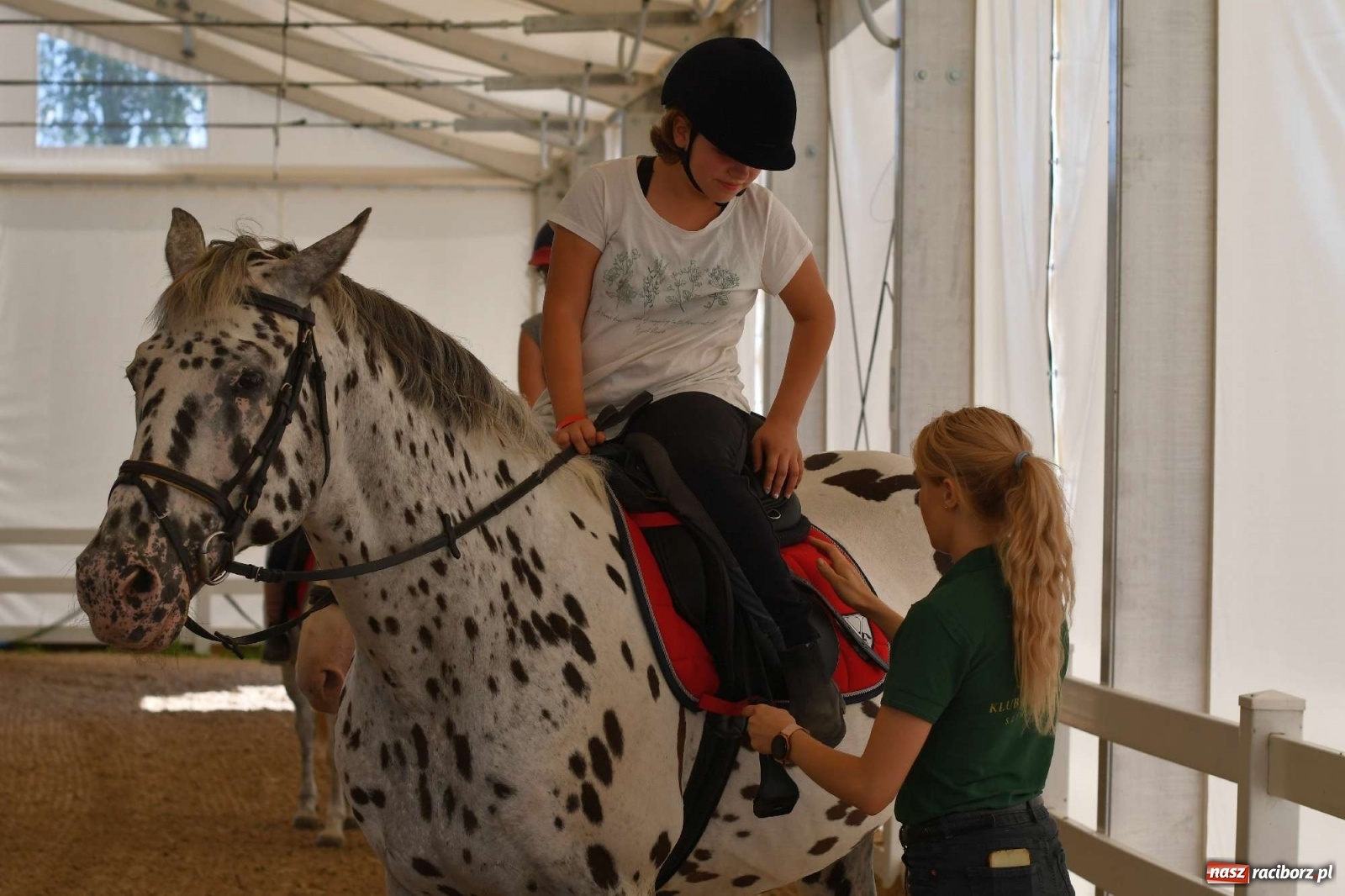 Zdjęcie w galerii na portalu naszraciborz.pl: Wakacje w siodle hitem AquaBraxu [FOTO i WIDEO] wiadomości z regionu
