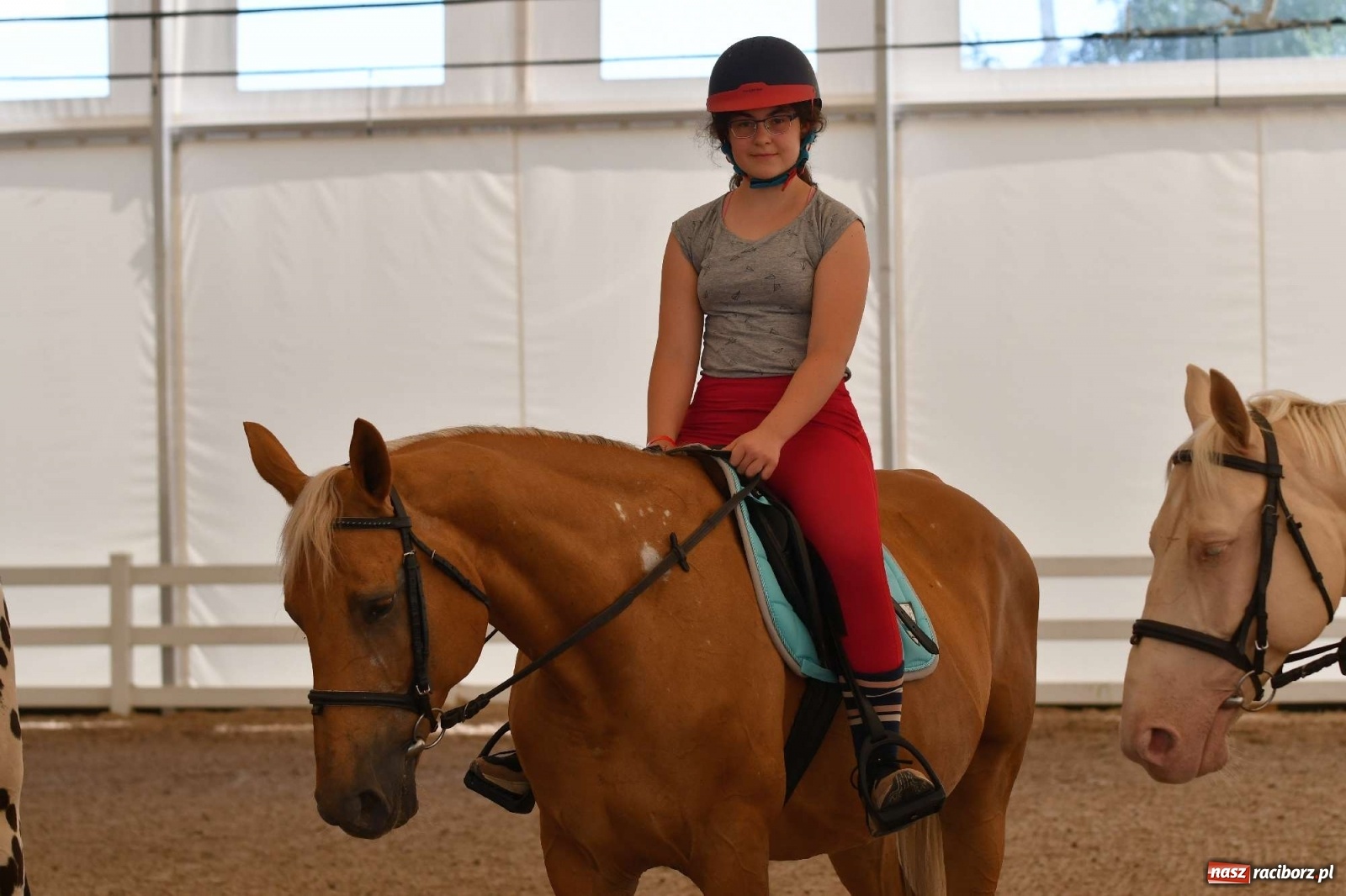 Zdjęcie w galerii na portalu naszraciborz.pl: Wakacje w siodle hitem AquaBraxu [FOTO i WIDEO] wiadomości z regionu