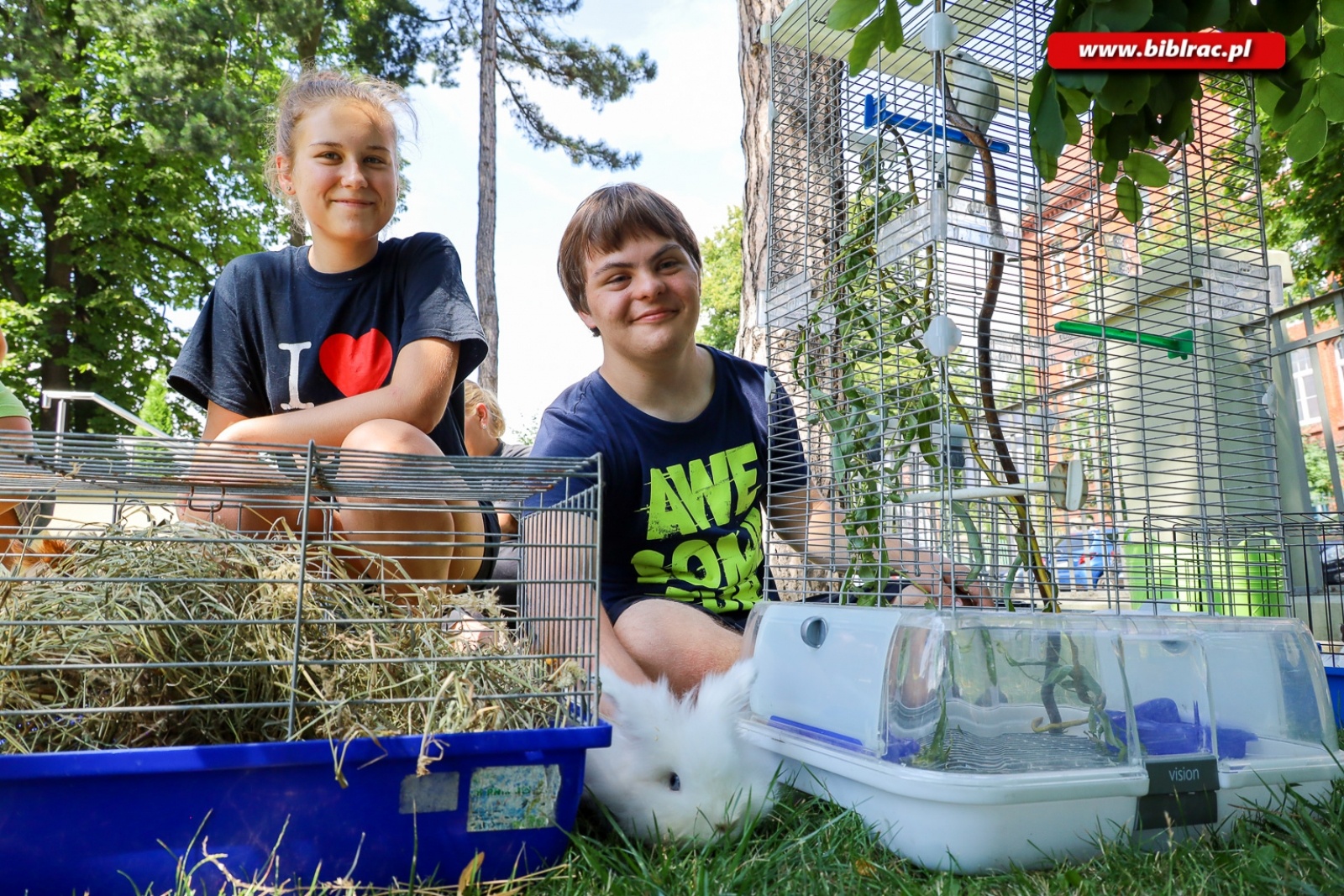 Zdjęcie w galerii na portalu naszraciborz.pl:  W bibliotece trwają wakacyjne zajęcia dla osób z niepełnosprawnościami wiadomości z regionu