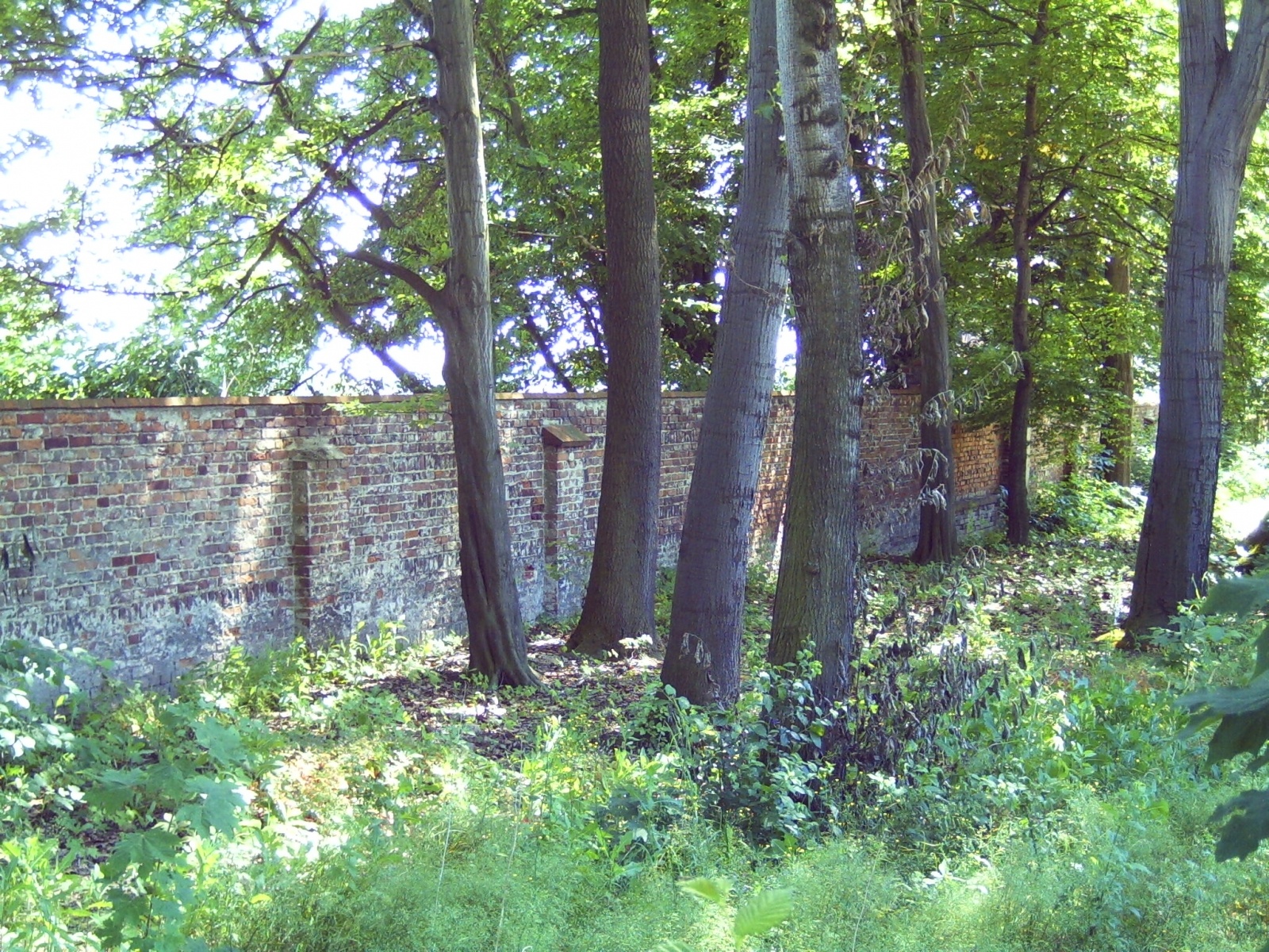 Zdjęcie w galerii na portalu naszraciborz.pl: Absurdy PRL-u. Wojnowicki pałac w czasach szpitalnych wiadomości z regionu