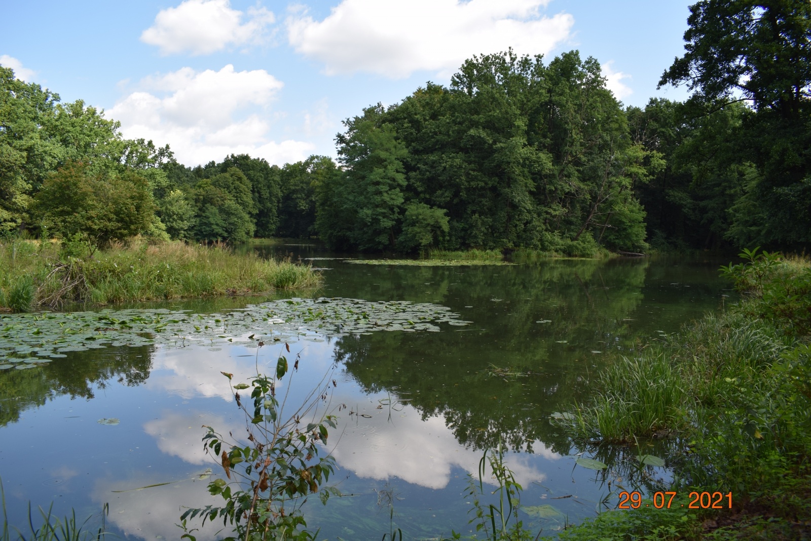 Zdjęcie w galerii na portalu naszraciborz.pl: Wakacje w powiecie. Plener malarski w Rudach za nami [FOTO] wiadomości z regionu