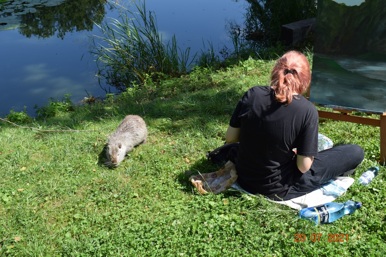 Zdjęcie w galerii na portalu naszraciborz.pl: Wakacje w powiecie. Plener malarski w Rudach za nami [FOTO] wiadomości z regionu