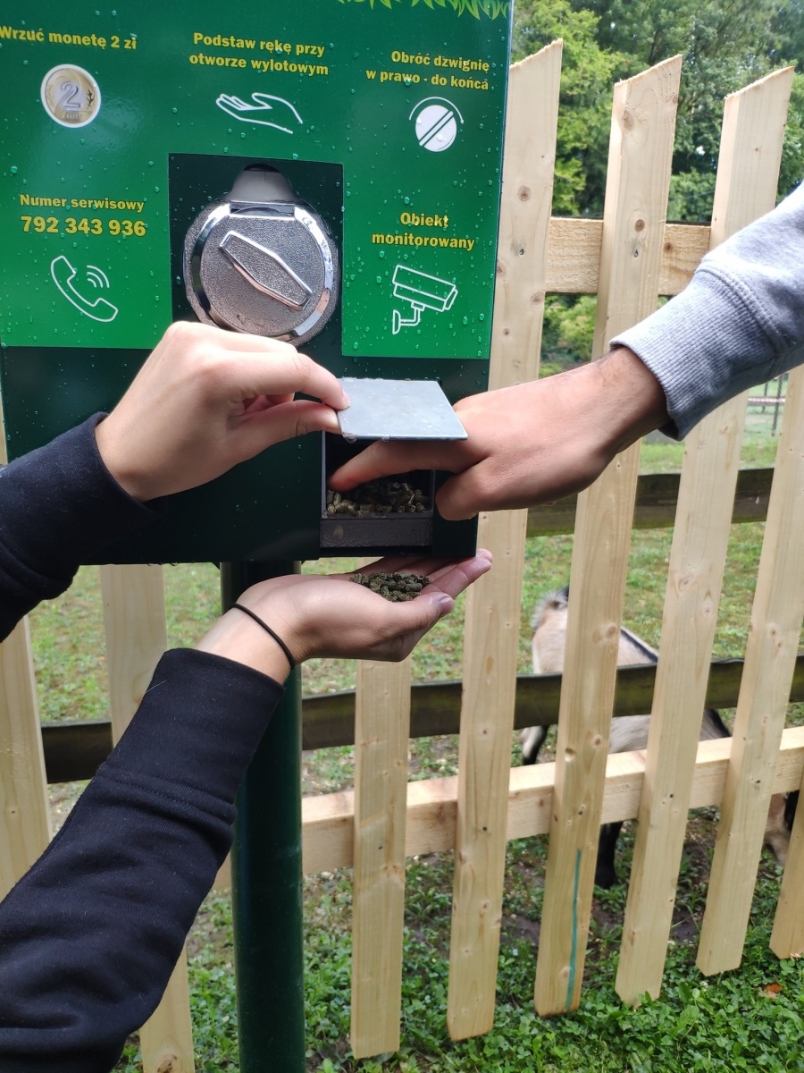 Zdjęcie w galerii na portalu naszraciborz.pl: Od dziś w Arboretum można karmić zwierzęta wiadomości z regionu