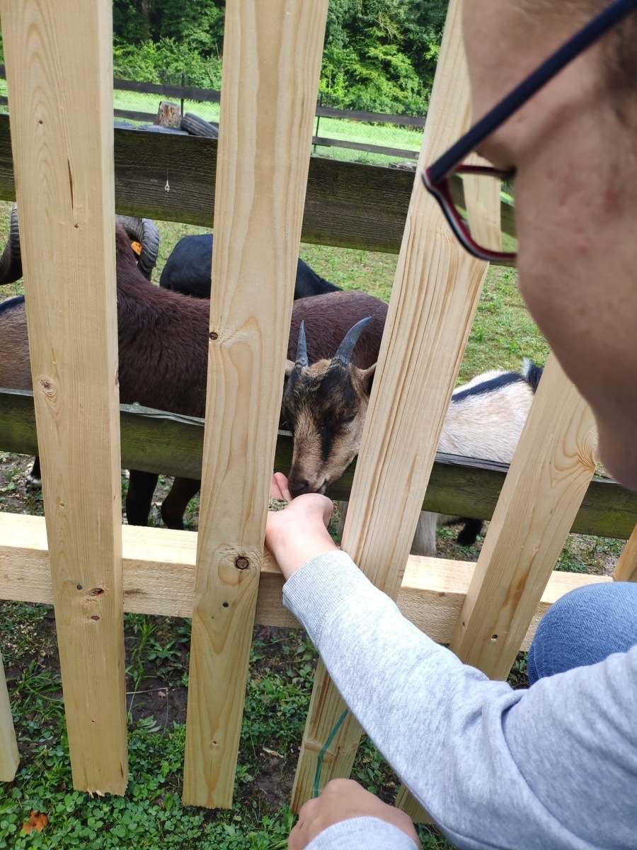 Zdjęcie w galerii na portalu naszraciborz.pl: Od dziś w Arboretum można karmić zwierzęta wiadomości z regionu