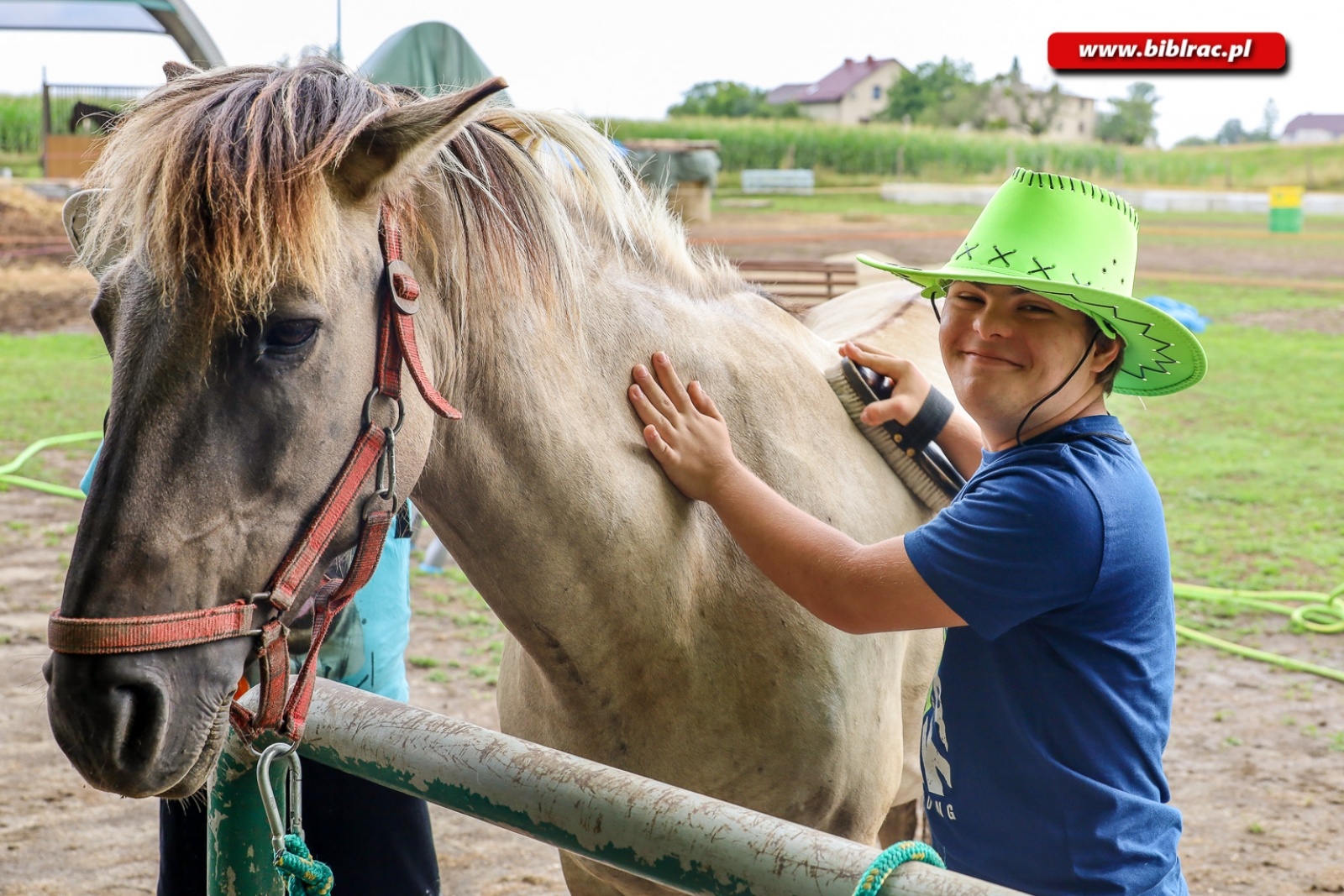 Zdjęcie w galerii na portalu naszraciborz.pl: Hipoterapia i nauka belgijki w ramach Lata z biblioteką [FOTO] wiadomości z regionu