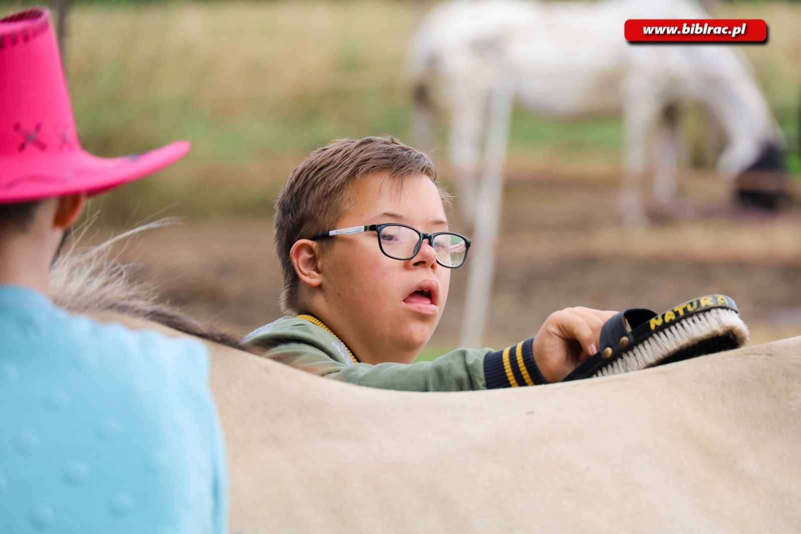 Zdjęcie w galerii na portalu naszraciborz.pl: Hipoterapia i nauka belgijki w ramach Lata z biblioteką [FOTO] wiadomości z regionu