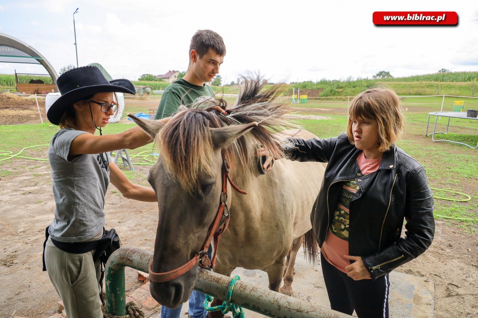 Zdjęcie w galerii na portalu naszraciborz.pl: Hipoterapia i nauka belgijki w ramach Lata z biblioteką [FOTO] wiadomości z regionu