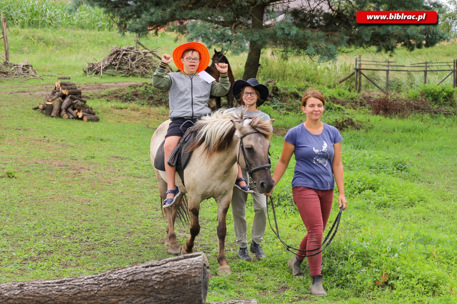 Zdjęcie w galerii na portalu naszraciborz.pl: Hipoterapia i nauka belgijki w ramach Lata z biblioteką [FOTO] wiadomości z regionu
