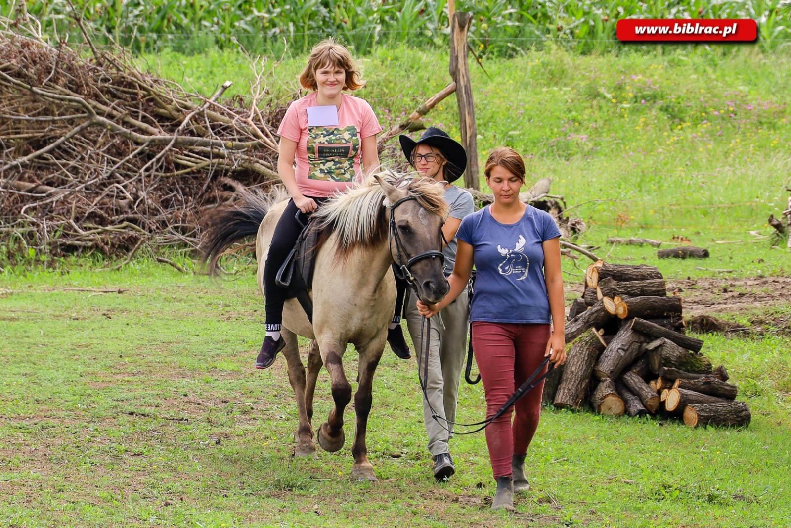 Zdjęcie w galerii na portalu naszraciborz.pl: Hipoterapia i nauka belgijki w ramach Lata z biblioteką [FOTO] wiadomości z regionu