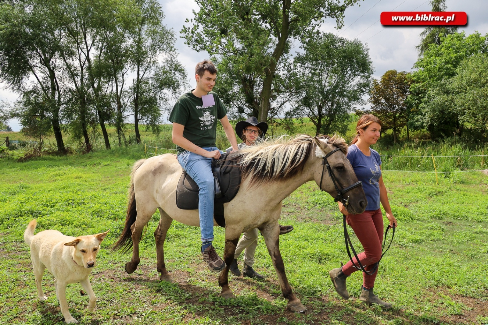 Zdjęcie w galerii na portalu naszraciborz.pl: Hipoterapia i nauka belgijki w ramach Lata z biblioteką [FOTO] wiadomości z regionu