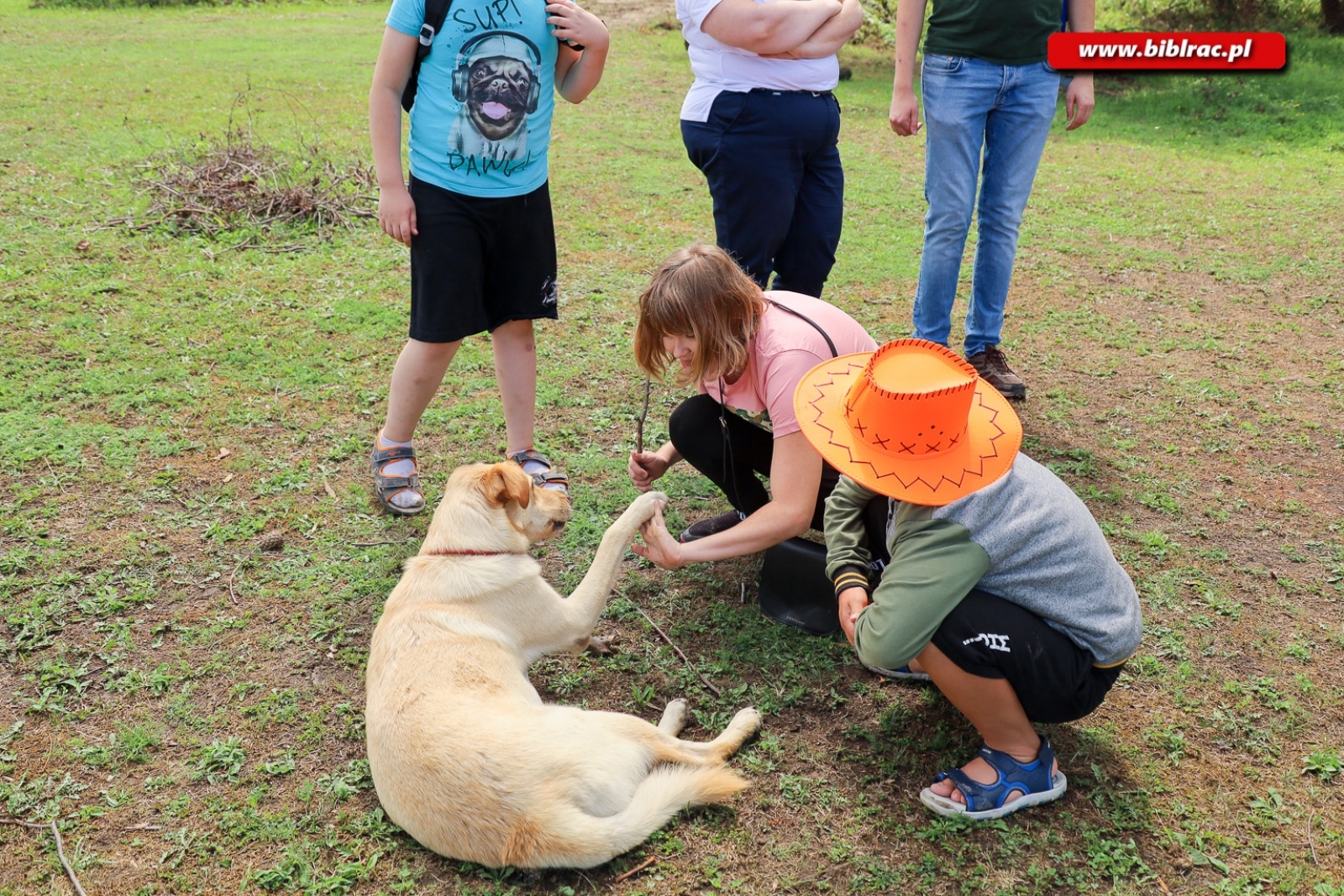 Zdjęcie w galerii na portalu naszraciborz.pl: Hipoterapia i nauka belgijki w ramach Lata z biblioteką [FOTO] wiadomości z regionu