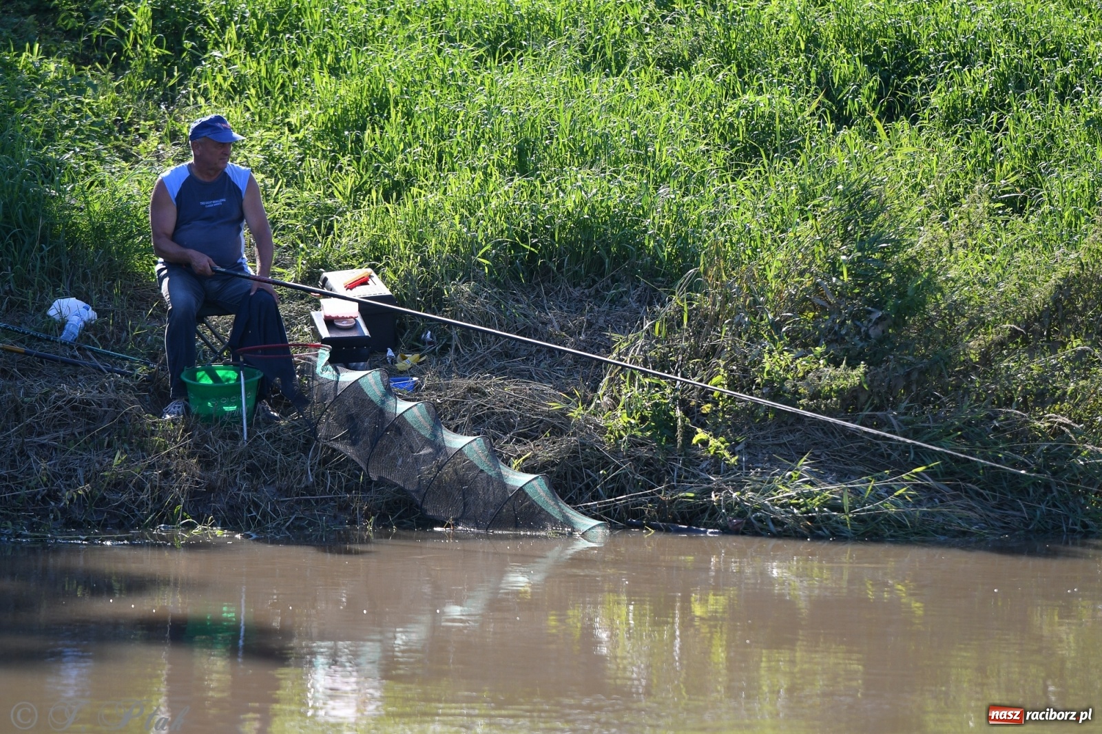 Zdjęcie w galerii na portalu naszraciborz.pl: Roland Przybyła triumfatorem zawodów wędkarskich Odra 2021 wiadomości z regionu