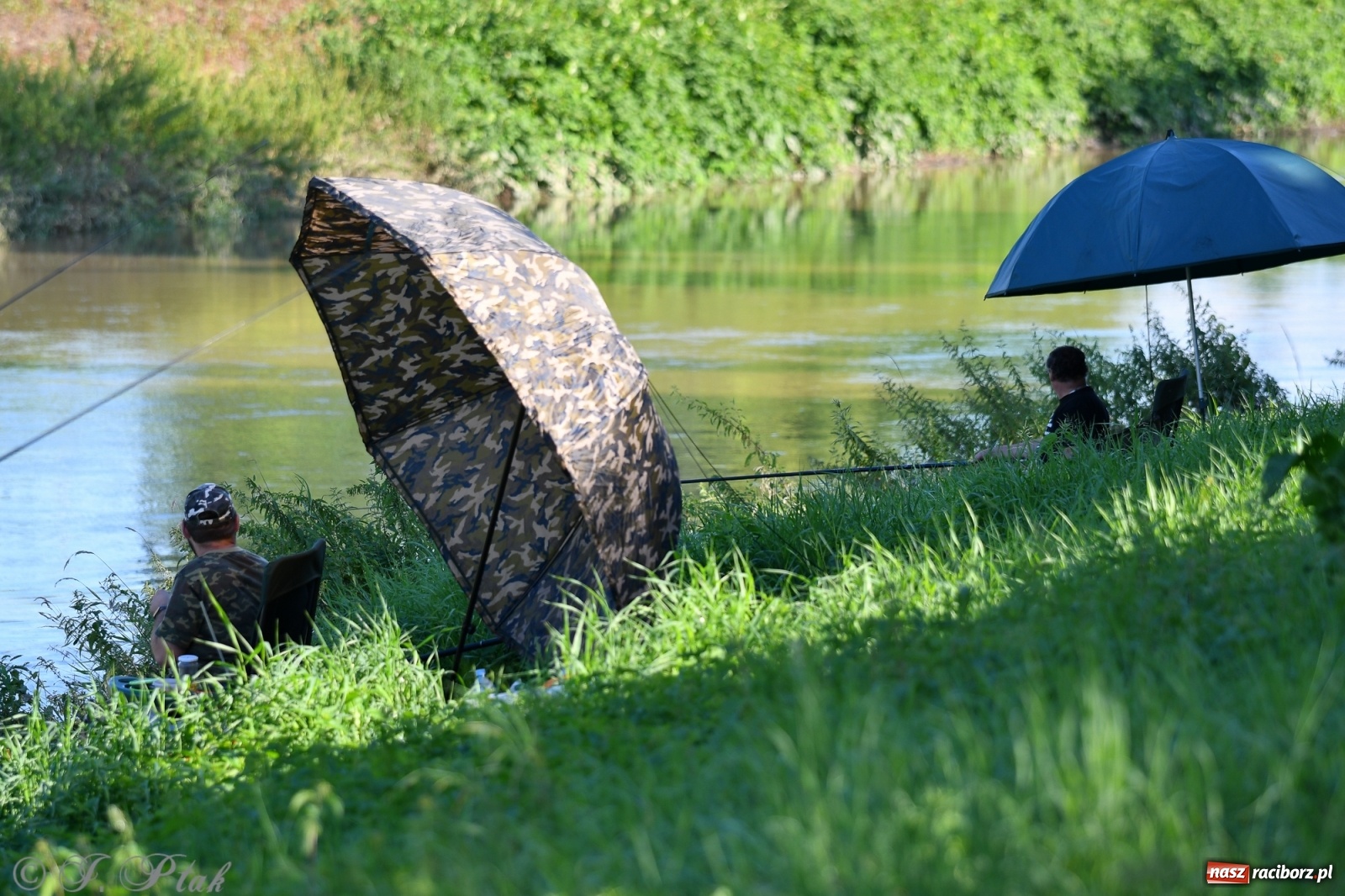 Zdjęcie w galerii na portalu naszraciborz.pl: Roland Przybyła triumfatorem zawodów wędkarskich Odra 2021 wiadomości z regionu