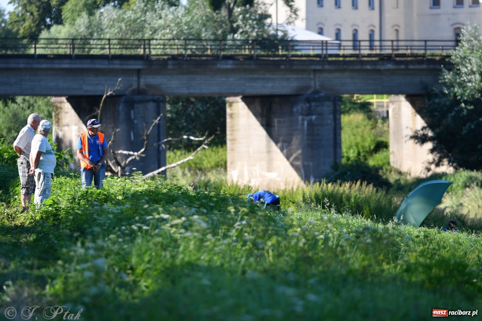 Zdjęcie w galerii na portalu naszraciborz.pl: Roland Przybyła triumfatorem zawodów wędkarskich Odra 2021 wiadomości z regionu