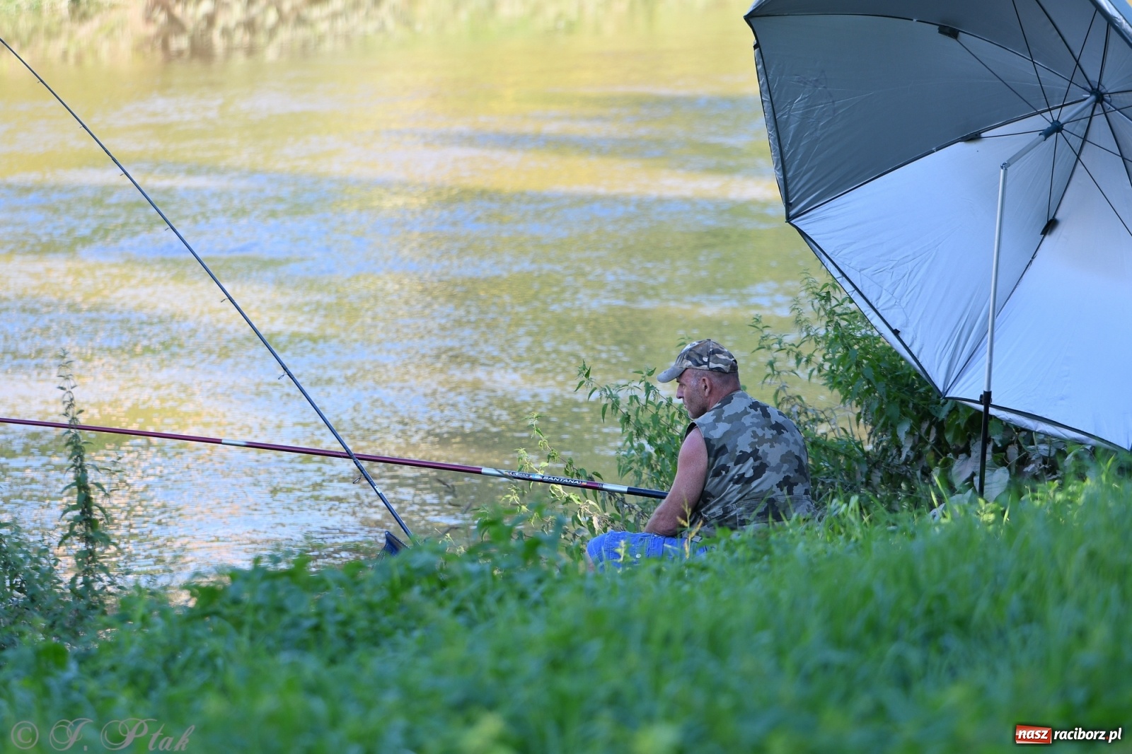 Zdjęcie w galerii na portalu naszraciborz.pl: Roland Przybyła triumfatorem zawodów wędkarskich Odra 2021 wiadomości z regionu