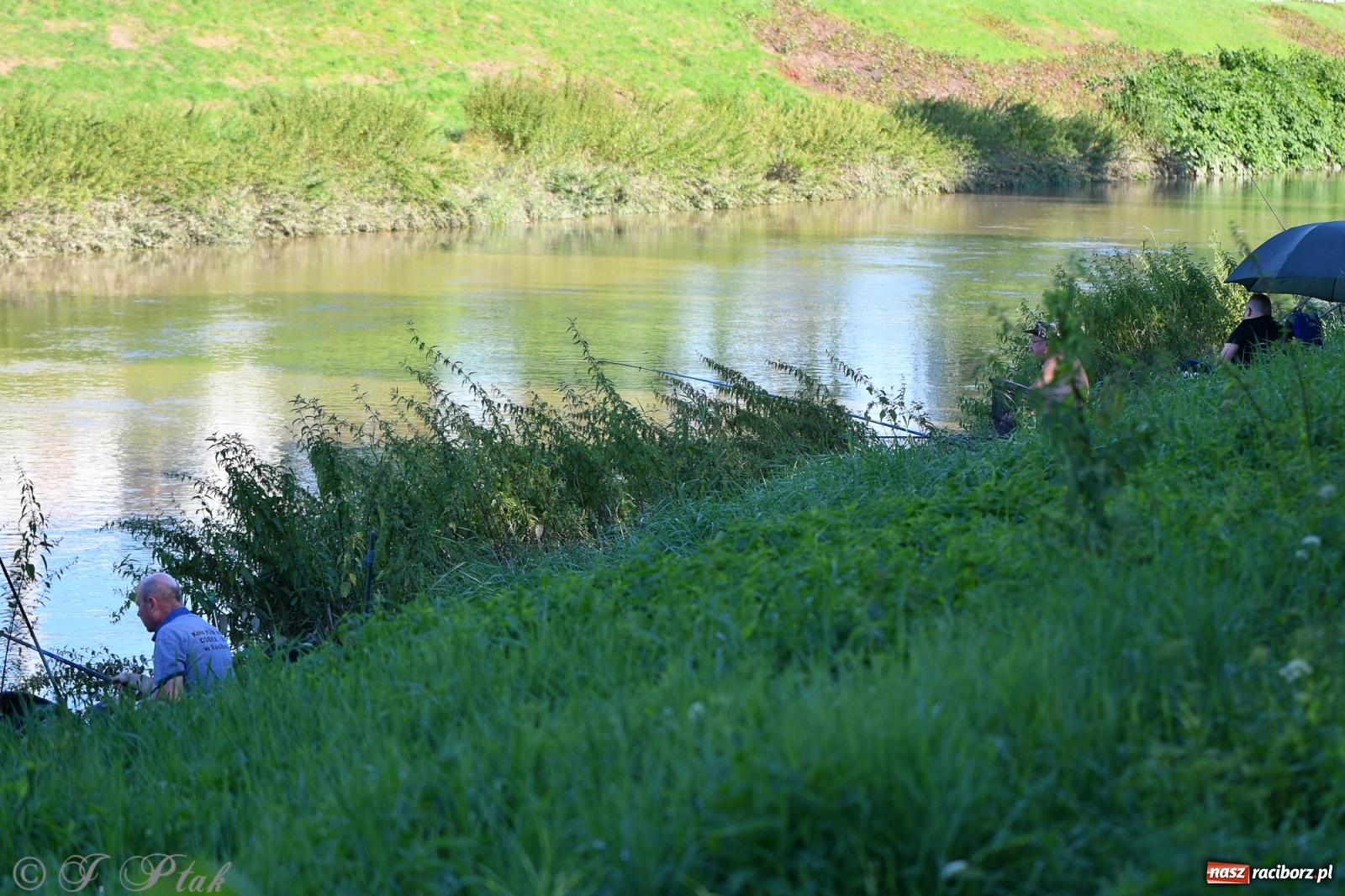 Zdjęcie w galerii na portalu naszraciborz.pl: Roland Przybyła triumfatorem zawodów wędkarskich Odra 2021 wiadomości z regionu