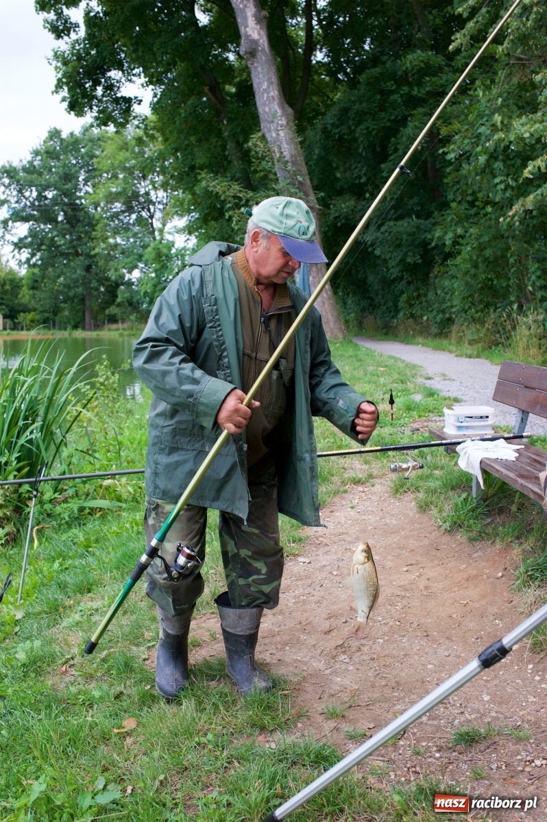 Zdjęcie w galerii na portalu naszraciborz.pl: Seniorzy rywalizowali na Trzecioku wiadomości z regionu
