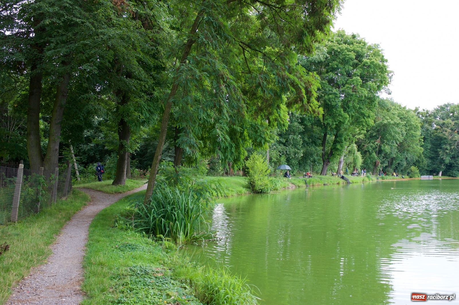 Zdjęcie w galerii na portalu naszraciborz.pl: Seniorzy rywalizowali na Trzecioku wiadomości z regionu