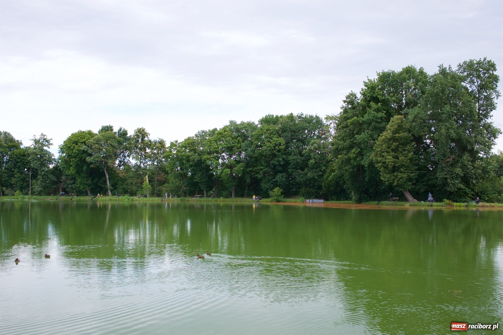 Zdjęcie w galerii na portalu naszraciborz.pl: Seniorzy rywalizowali na Trzecioku wiadomości z regionu