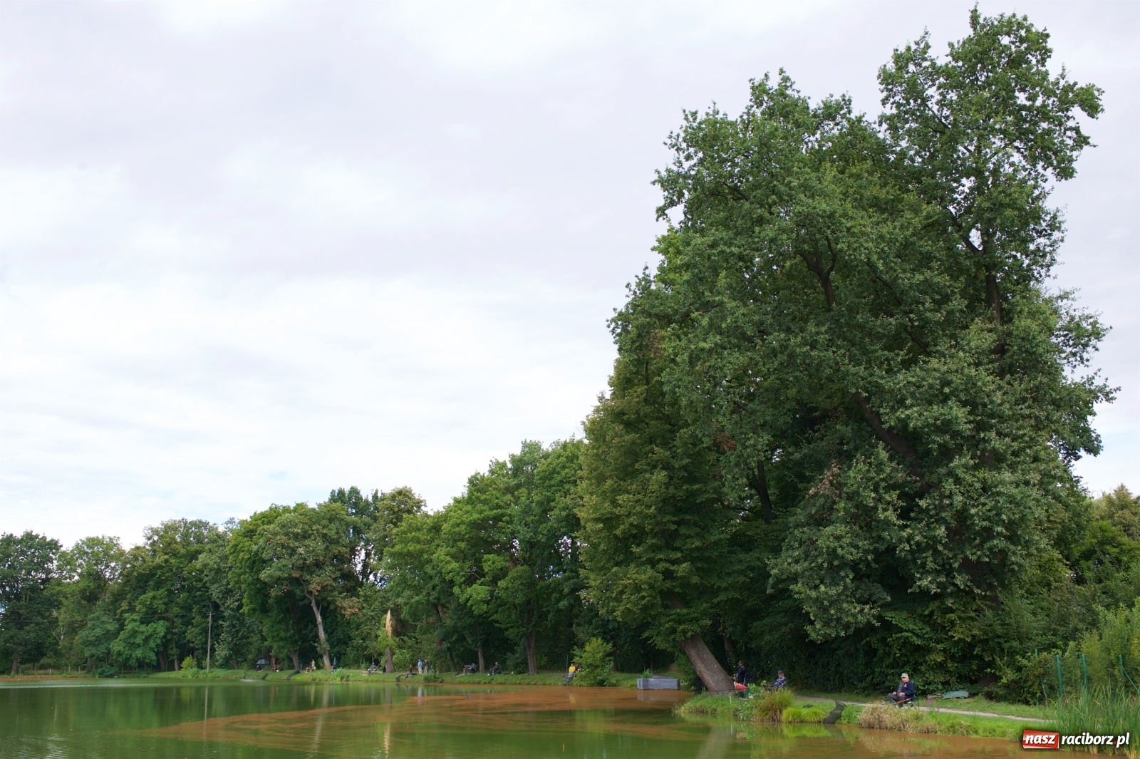 Zdjęcie w galerii na portalu naszraciborz.pl: Seniorzy rywalizowali na Trzecioku wiadomości z regionu
