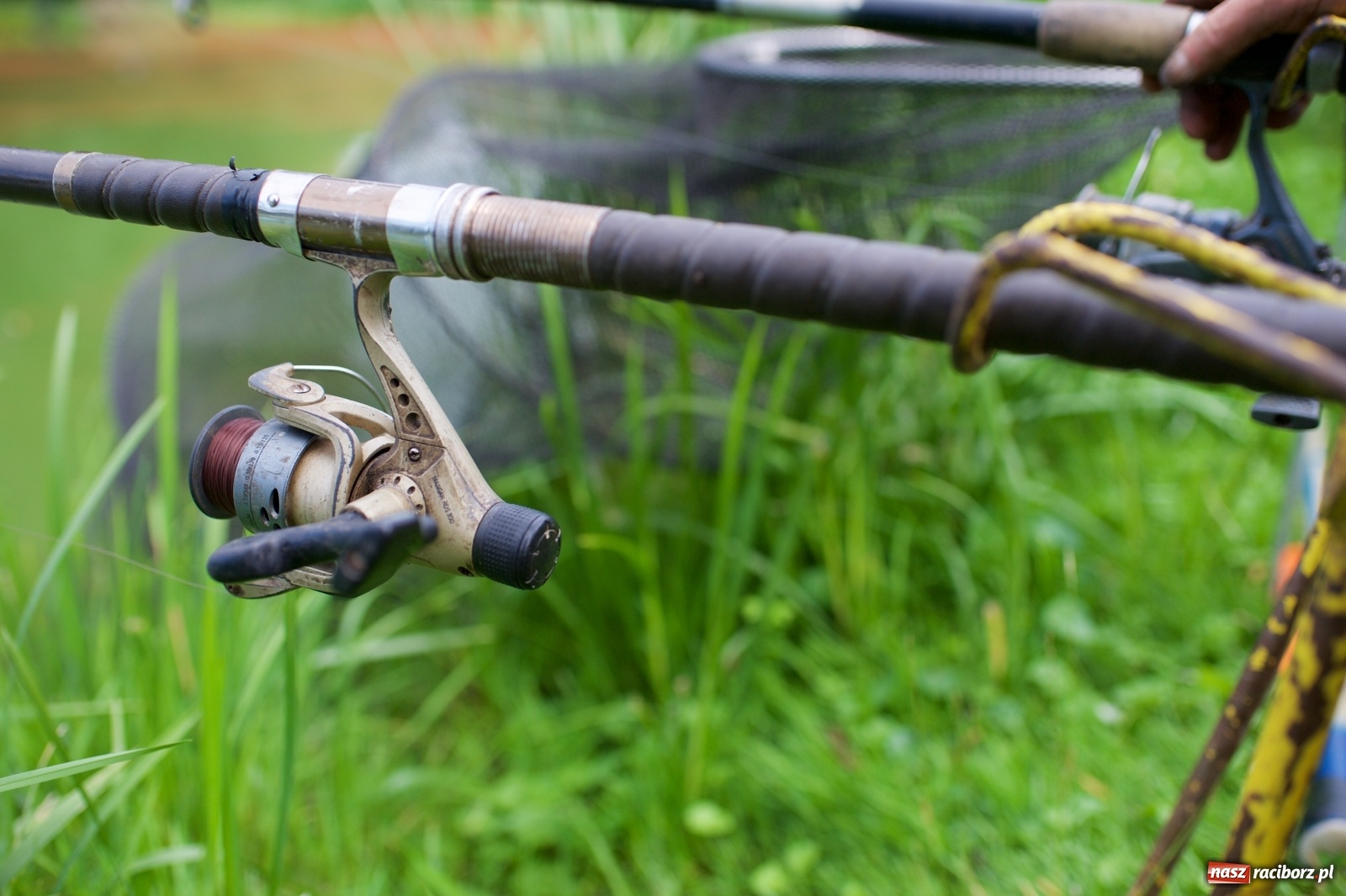 Zdjęcie w galerii na portalu naszraciborz.pl: Seniorzy rywalizowali na Trzecioku wiadomości z regionu