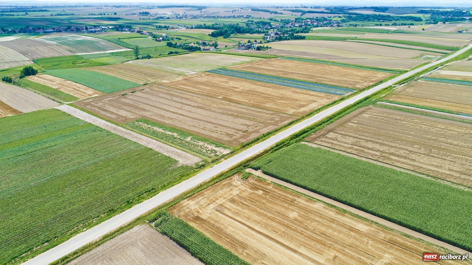 Zdjęcie w galerii na portalu naszraciborz.pl: Raport z budowy wschodniej obwodnicy Raciborza [LIPIEC] wiadomości z regionu
