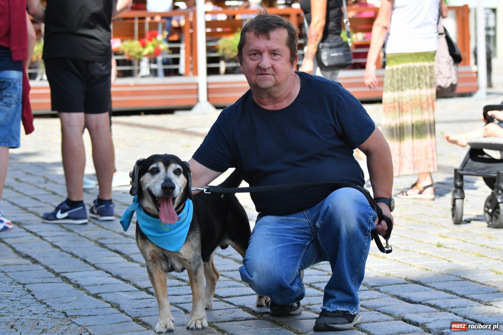 Zdjęcie w galerii na portalu naszraciborz.pl: Sonia, Kokos i Misiek mają szansę na nowy dom wiadomości z regionu