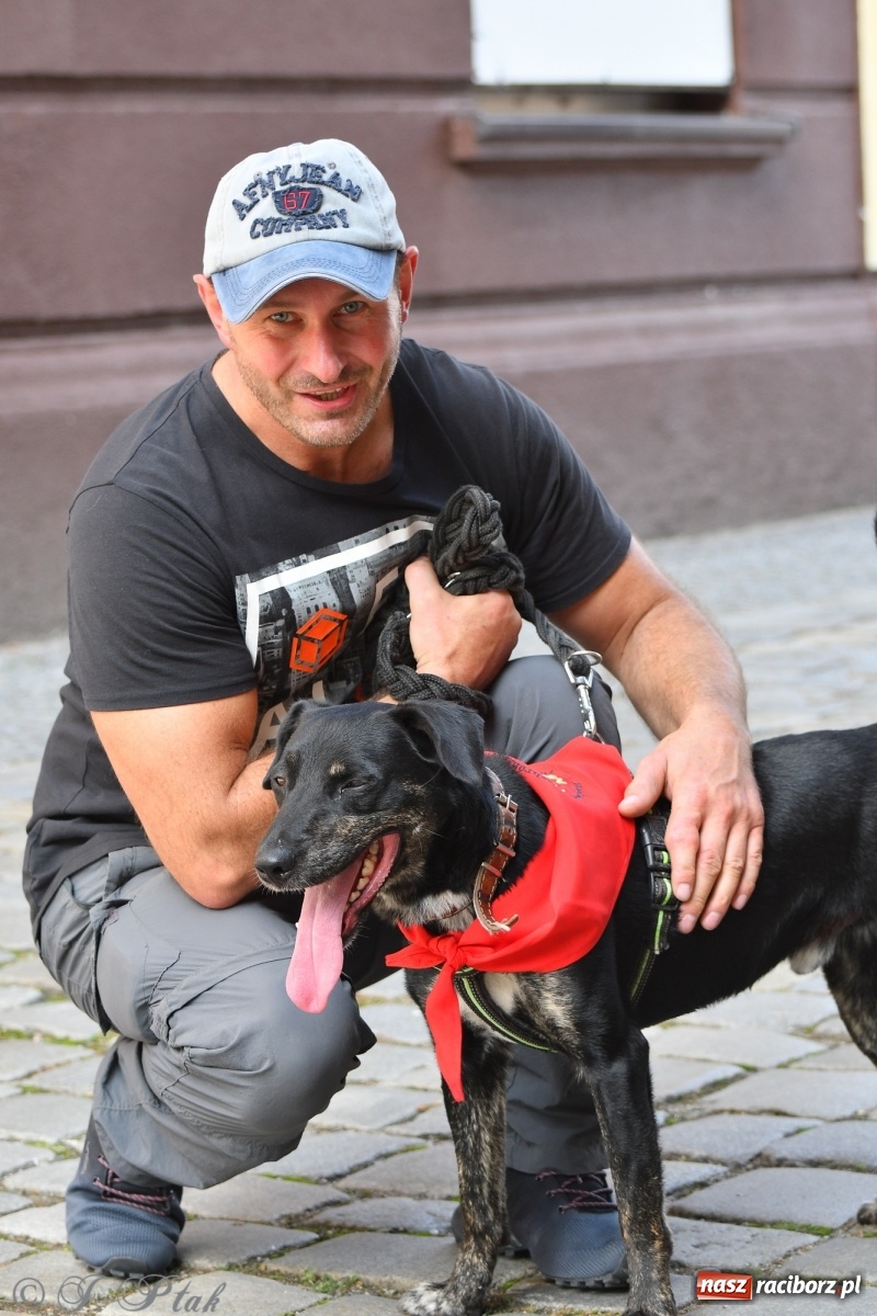 Zdjęcie w galerii na portalu naszraciborz.pl: Sonia, Kokos i Misiek mają szansę na nowy dom wiadomości z regionu