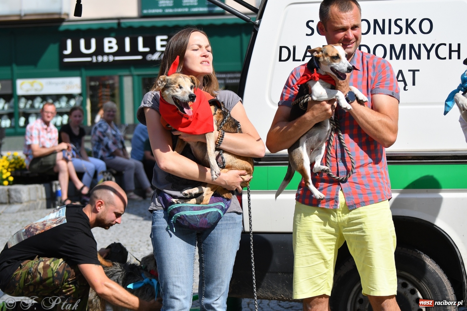 Zdjęcie w galerii na portalu naszraciborz.pl: Sonia, Kokos i Misiek mają szansę na nowy dom wiadomości z regionu