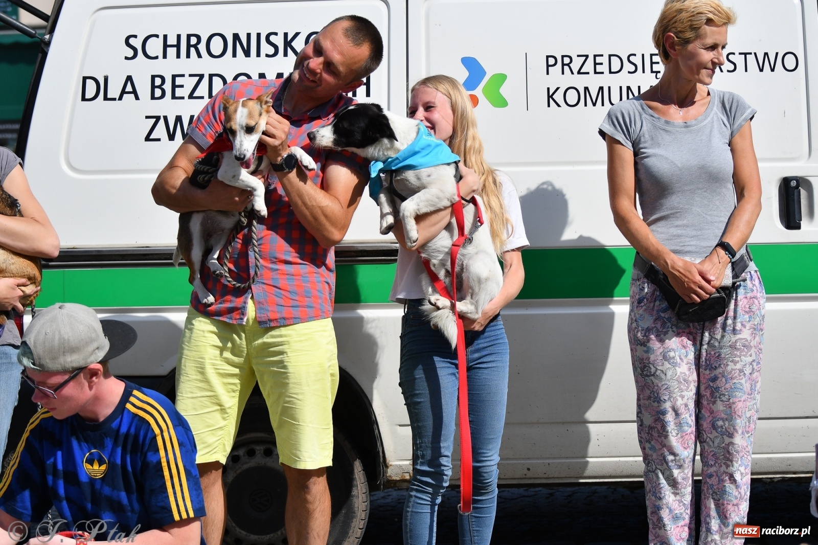 Zdjęcie w galerii na portalu naszraciborz.pl: Sonia, Kokos i Misiek mają szansę na nowy dom wiadomości z regionu