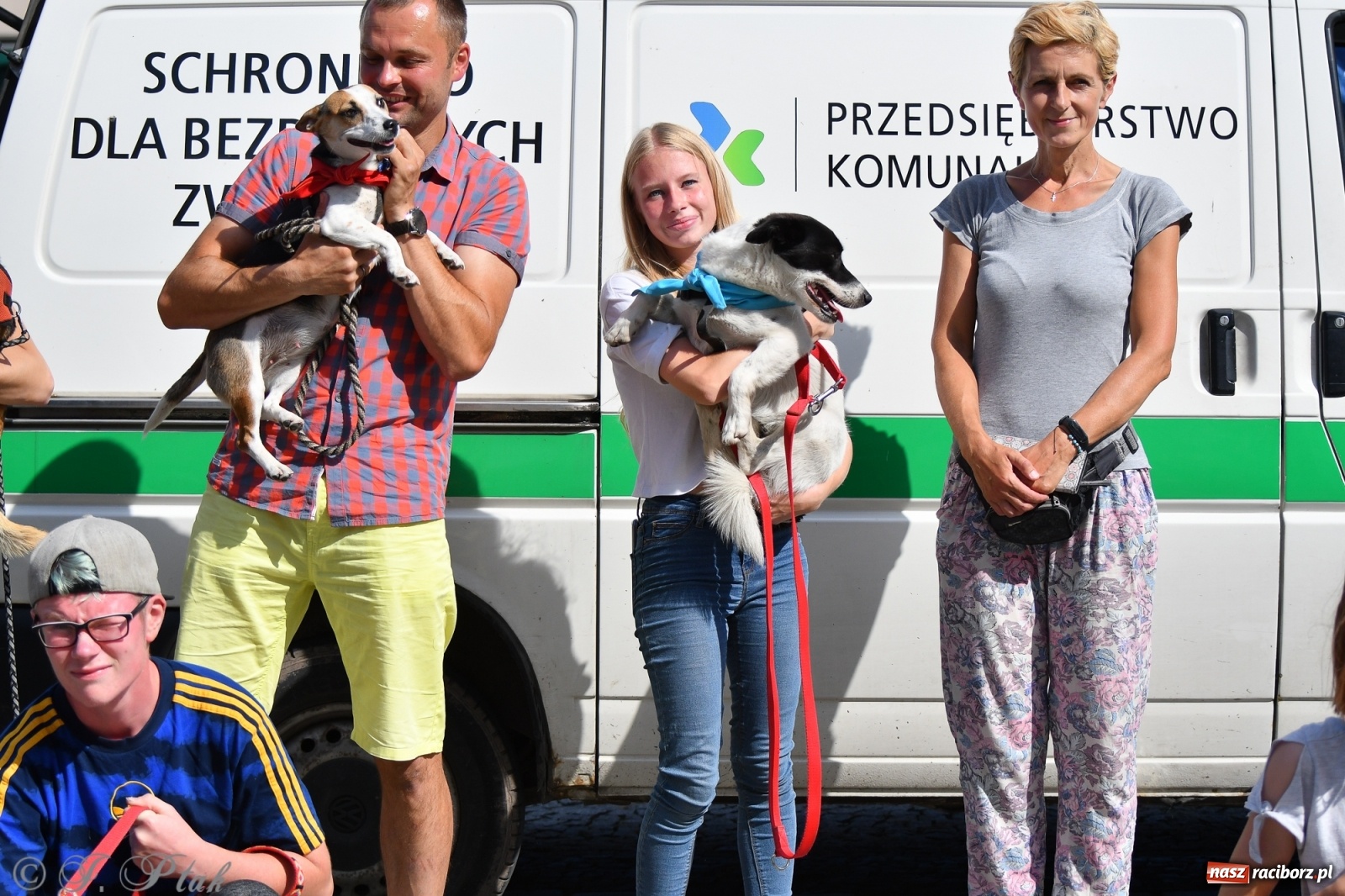 Zdjęcie w galerii na portalu naszraciborz.pl: Sonia, Kokos i Misiek mają szansę na nowy dom wiadomości z regionu