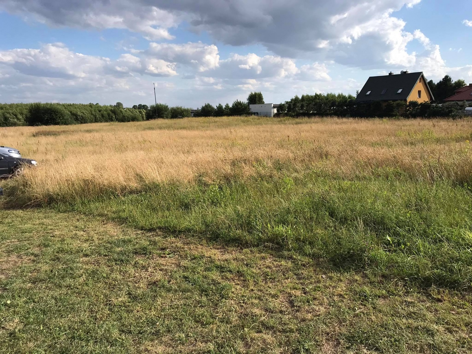 Zdjęcie w galerii na portalu naszraciborz.pl: Trafiona inwestycja z lat 90. Na tej działce Racibórz zbije fortunę wiadomości z regionu