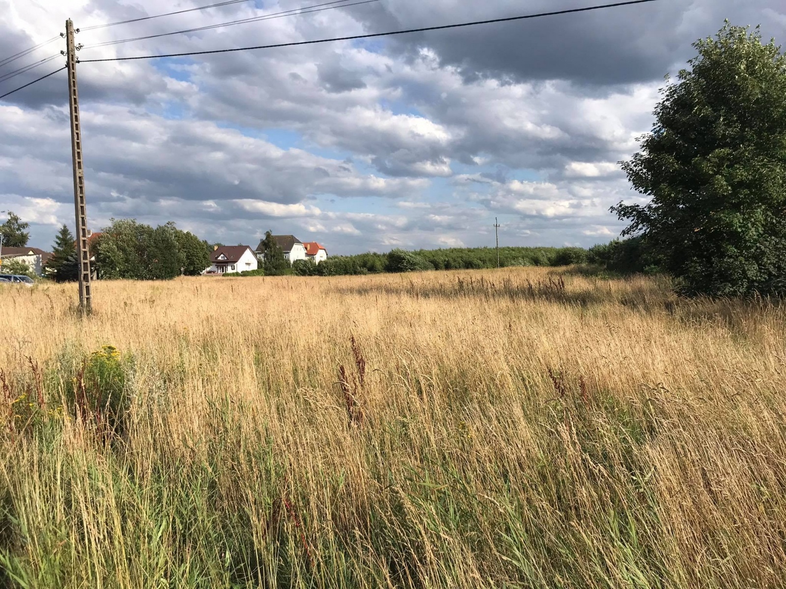 Zdjęcie w galerii na portalu naszraciborz.pl: Trafiona inwestycja z lat 90. Na tej działce Racibórz zbije fortunę wiadomości z regionu