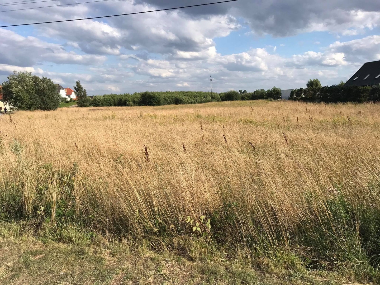 Zdjęcie w galerii na portalu naszraciborz.pl: Trafiona inwestycja z lat 90. Na tej działce Racibórz zbije fortunę wiadomości z regionu