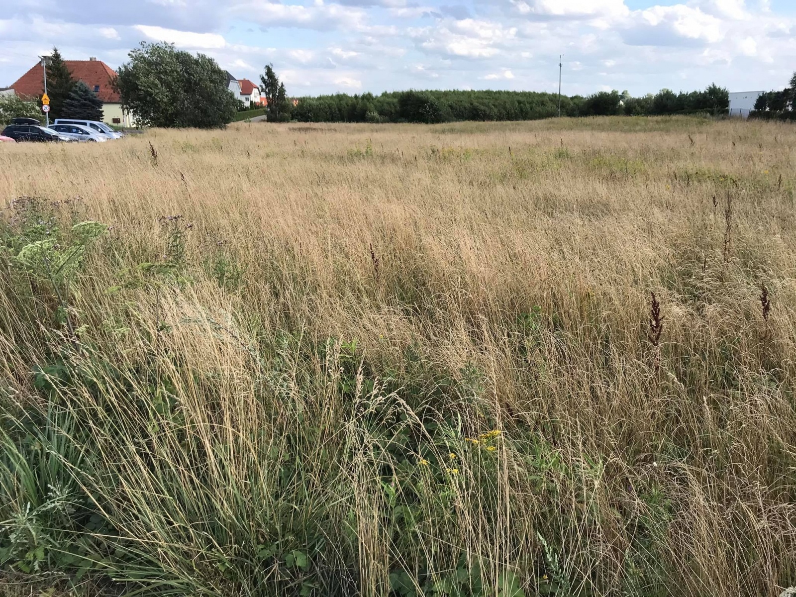 Zdjęcie w galerii na portalu naszraciborz.pl: Trafiona inwestycja z lat 90. Na tej działce Racibórz zbije fortunę wiadomości z regionu