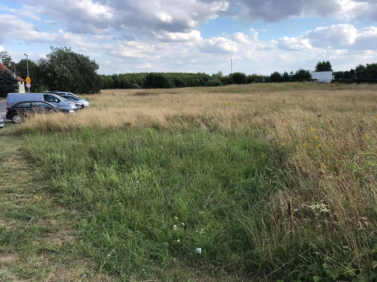 Zdjęcie w galerii na portalu naszraciborz.pl: Trafiona inwestycja z lat 90. Na tej działce Racibórz zbije fortunę wiadomości z regionu