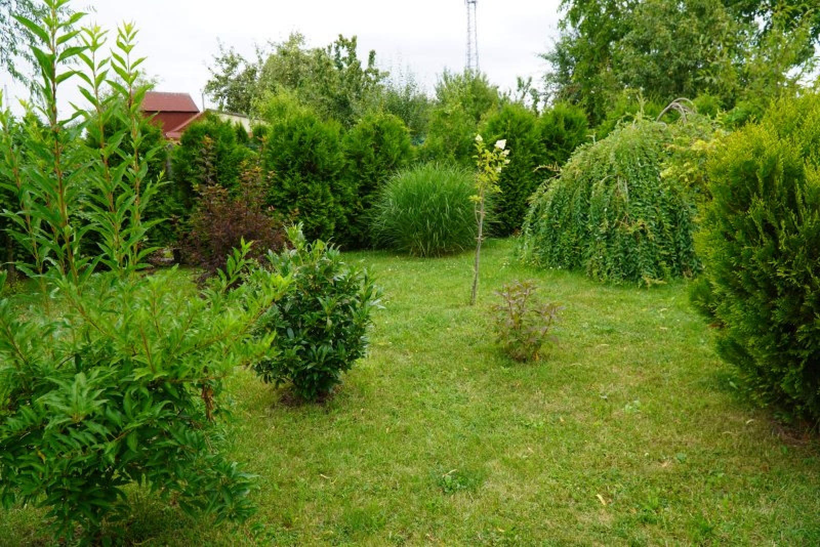 Zdjęcie w galerii na portalu naszraciborz.pl: Zielona rewitalizacja w Raciborzu. Zdjęcia nagrodzonych miejsc wiadomości z regionu
