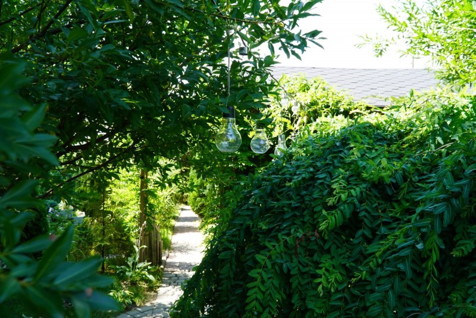 Zdjęcie w galerii na portalu naszraciborz.pl: Zielona rewitalizacja w Raciborzu. Zdjęcia nagrodzonych miejsc wiadomości z regionu